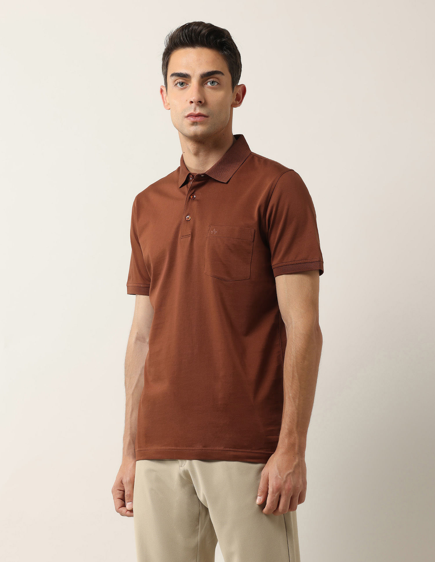 Arrow Solid Pure Cotton Polo Shirt