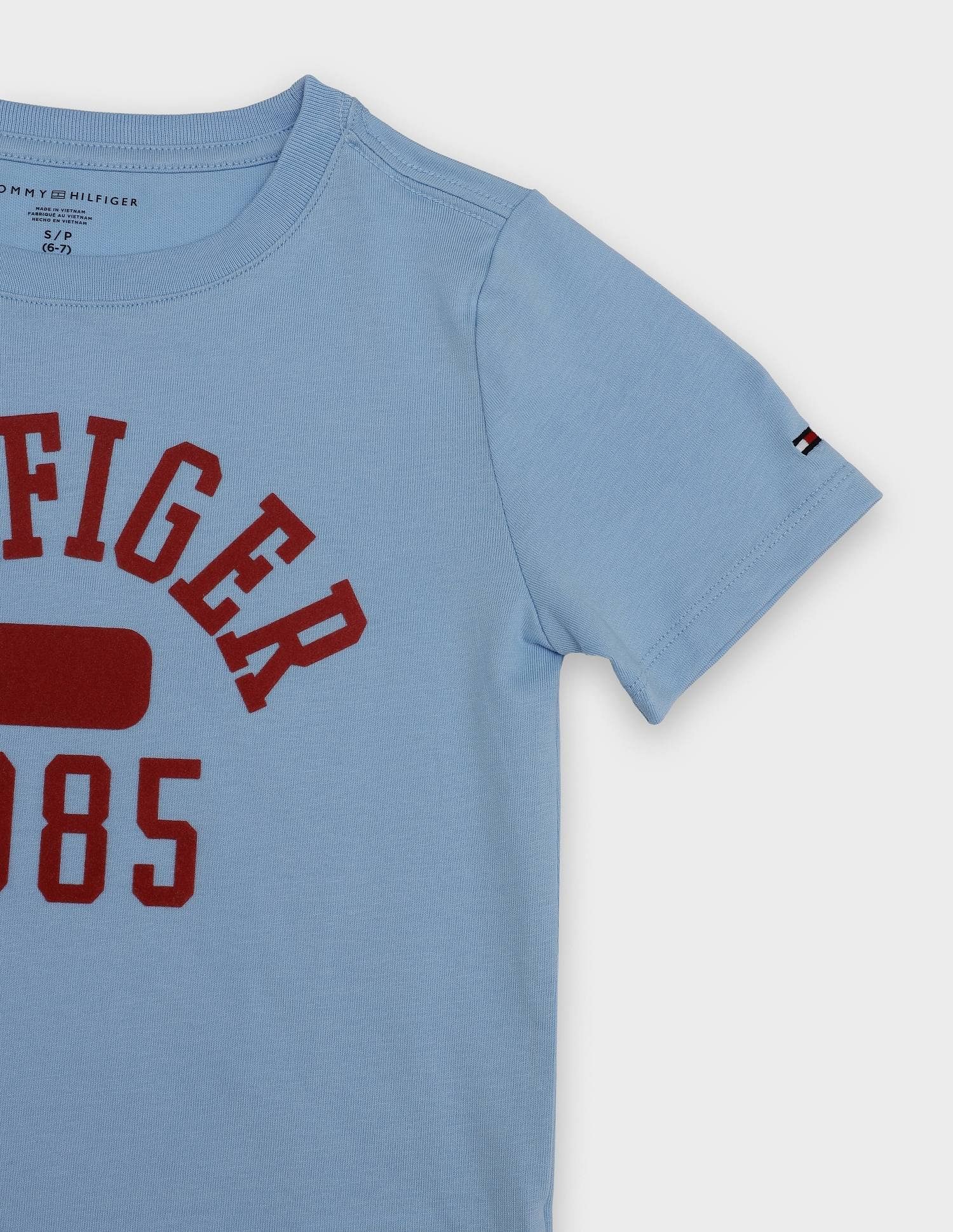 Tommy Hilfiger Kids Boys Logo Regular-Fit Cotton T-Shirt