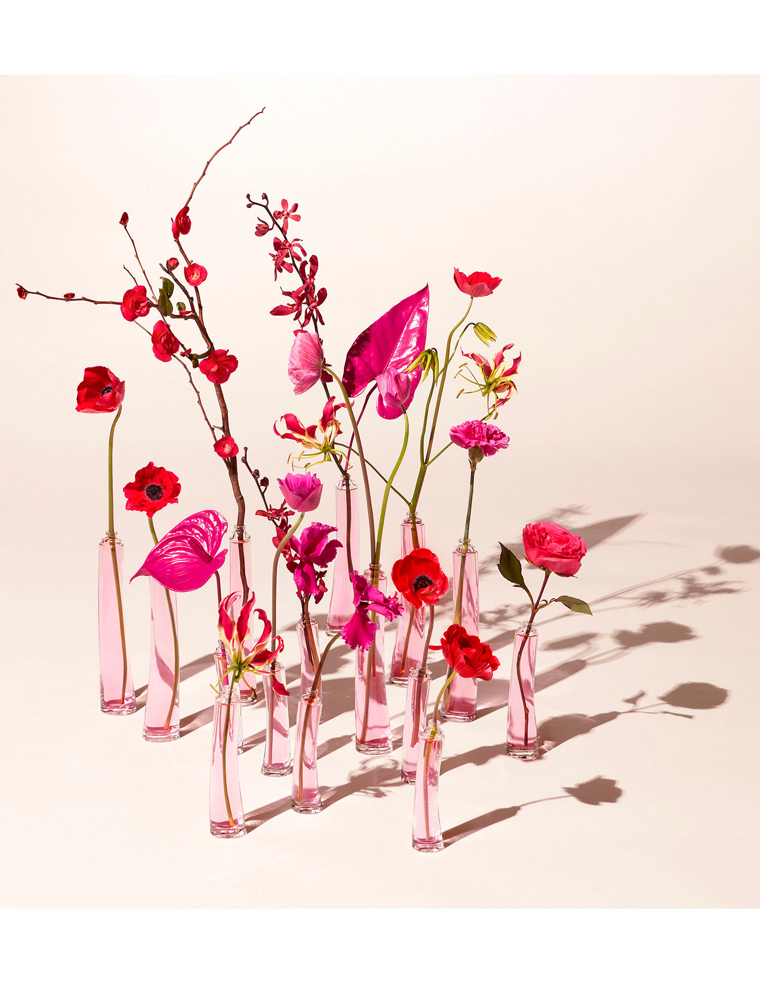 Parfum Flower Kenzo Buy Kenzo Bouquet De Poppy Eau by