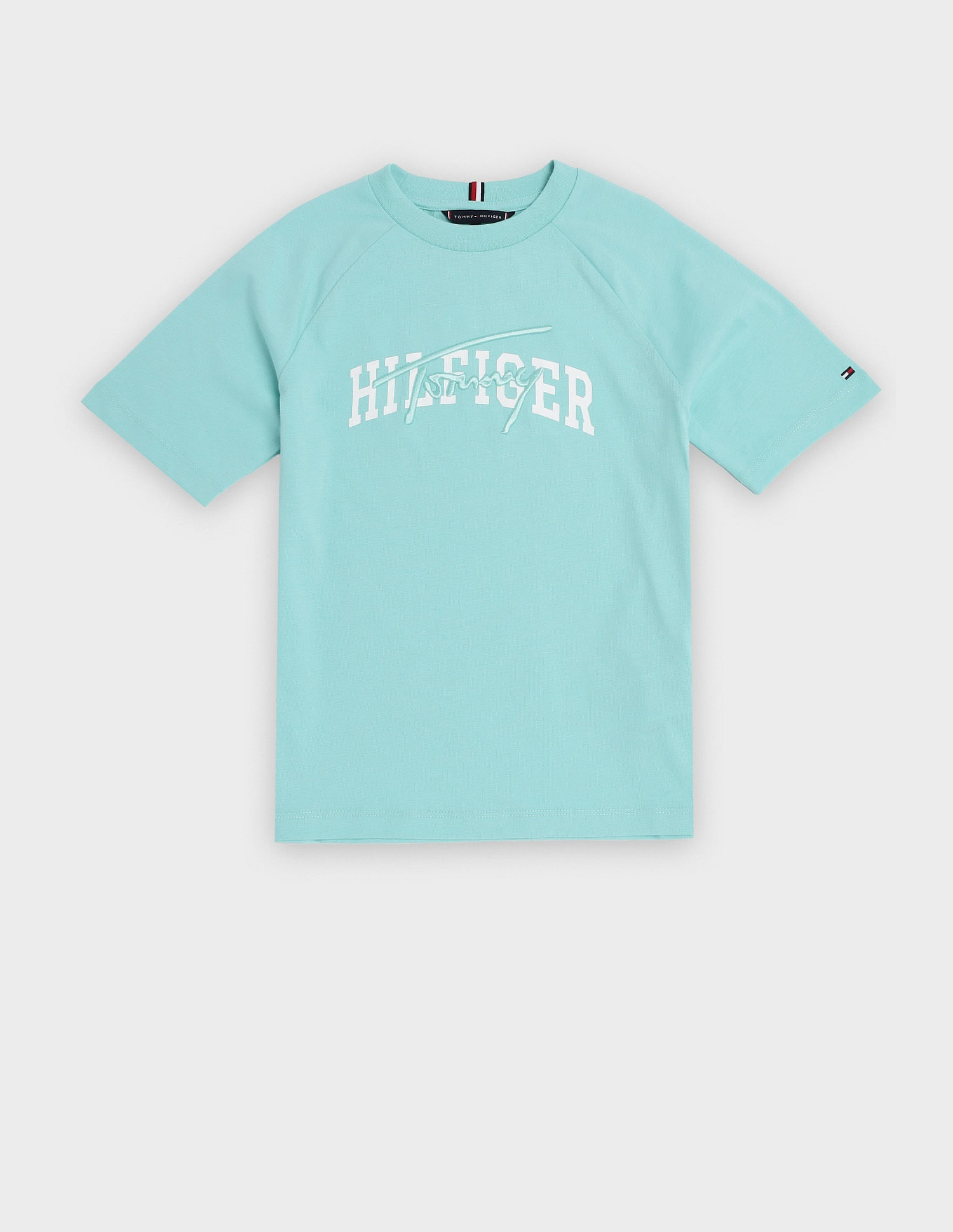 Tommy Hilfiger Kids Boys Embroidered Logo Relaxed Fit Cotton T-Shirt