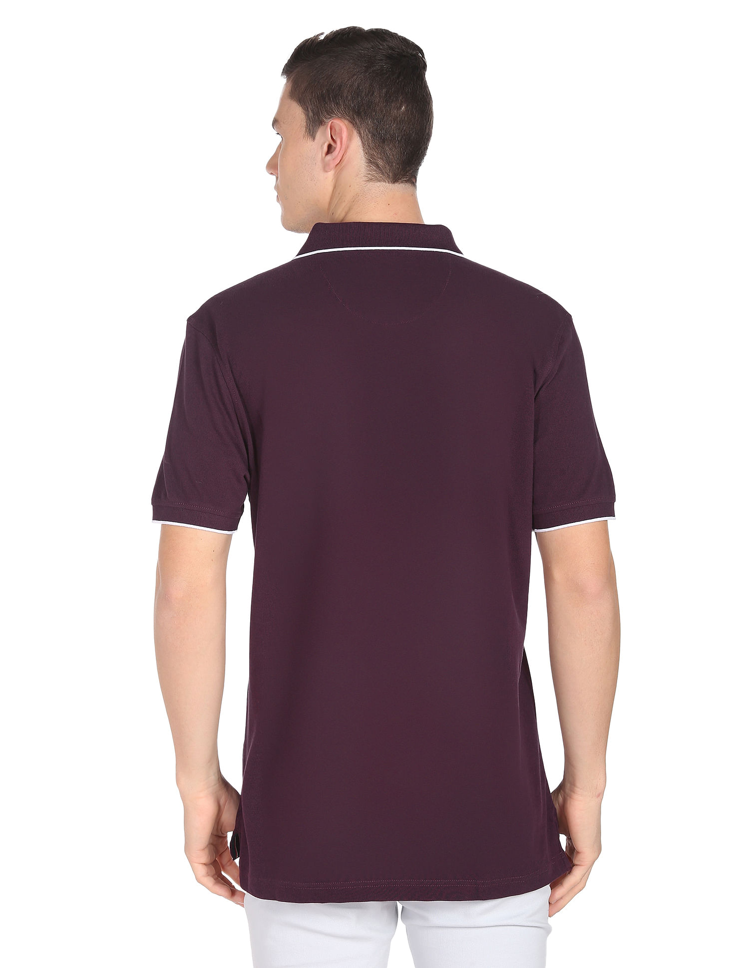 Arrow Sports Tipped Collar Solid Polo Shirt
