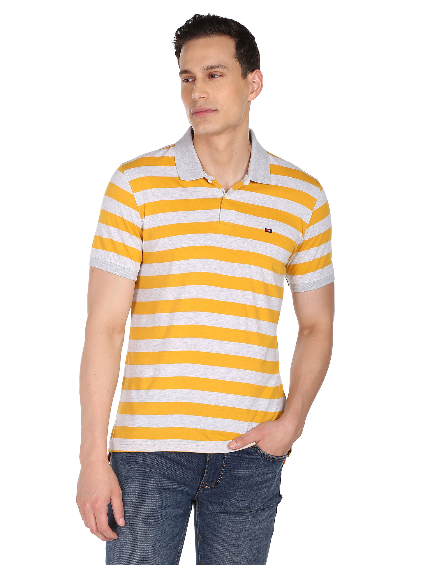 AD by Arvind Horizontal Stripe Pique Polo Shirt