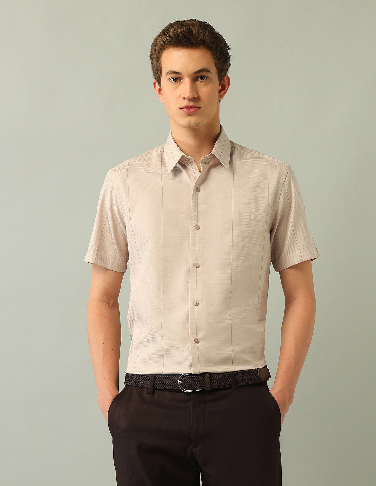 Arrow Newyork Solid Satin Shirt