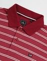 Arrow Sports Horizontal Stripe Cotton Polo Shirt