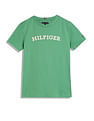 Tommy Hilfiger Kids Boys Arch Logo T-Shirt