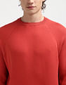 Calvin Klein Crew Neck Sustainable Cotton Sweater