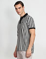 Arrow Sports Vertical Stripe Cotton Polo Shirt