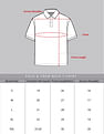 AD by Arvind Cotton Panelled Colour Block Polo Shirt