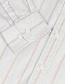 U.S. Polo Assn. Oxford Vertical Striped Shirt