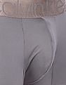 Calvin Klein Underwear Men Grey Elasticized Brand Waist Solid Trunks