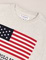 U.S. Polo Assn. Crew Neck Flag Sweater
