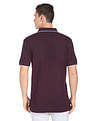 Arrow Sports Tipped Collar Solid Polo Shirt