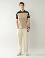 Arrow Sport Colourblocked Regular Fit Polo Shirt