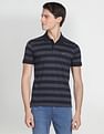 Arrow Sports Ribbed Collar Horizontal Stripe Polo Shirt