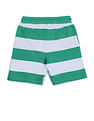 U.S. Polo Assn. Kids Boys Horizontal Striped Regular Fit Shorts