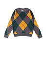 U.S. Polo Assn. Kids Boys Printed Regular Fit Sweater