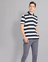 AD by Arvind Horizontal Stripe Moistex Finish Polo Shirt