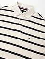 Tommy Hilfiger Striped Regular-Fit Cotton Polo Shirt