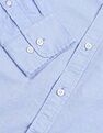 U.S. Polo Assn. Pure Cotton Tailored Fit Shirt
